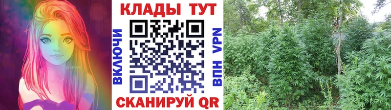 Где продают наркотики Катав-Ивановск АМФЕТАМИН  Alpha-PVP  Меф мяу мяу  Бошки Шишки  ГАШИШ 