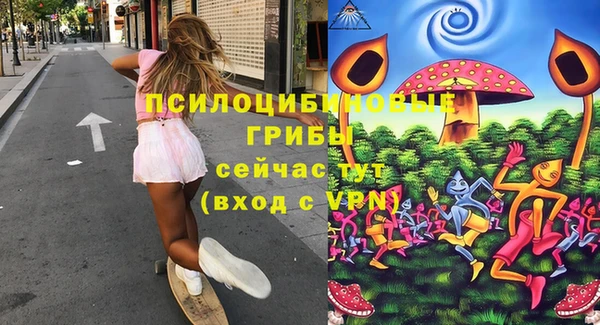стафф Абинск