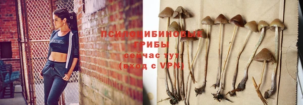 стафф Абинск