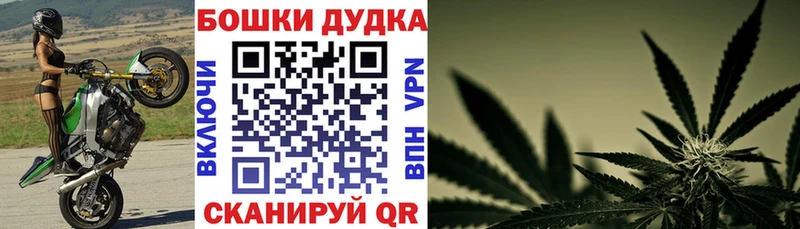 Бошки Шишки OG Kush  где найти наркотики  нарко площадка клад  Катав-Ивановск 